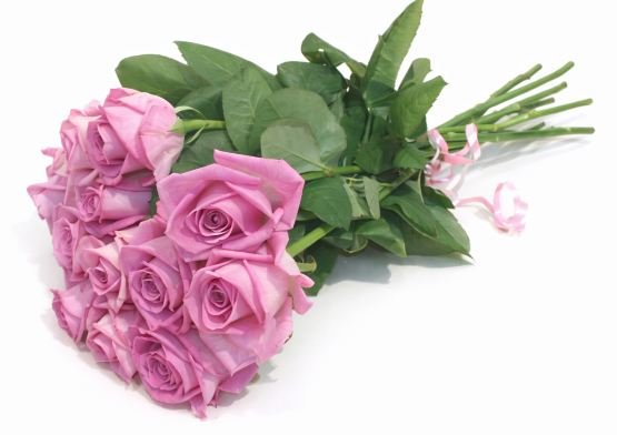 Roses for you Roses for you