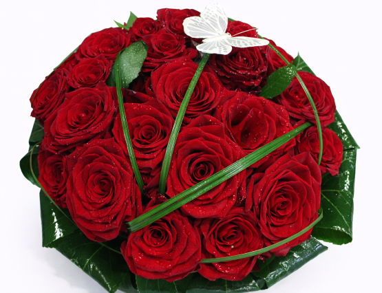I love you I love you