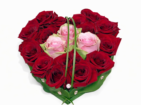 Heart of roses Heart of roses